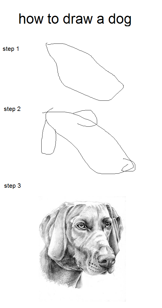 how to draw a dog. i hope you enjoy this tutorial. how to draw a dog step 1 step 2 step 3