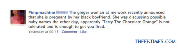 How I got fired. . that she is pregnant by her black befriend, She was discussing possible baby names the other day, apparently "Terry The Ejaculate Orange" is 