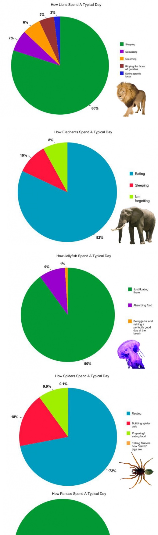 How animals spend their day :D. what animal are YOU?&lt;br /&gt; FYI PANDAS SPEND THEIR WHOLE DAY BEING CUTE. SRY PICTURE GOT CUT OFF . Halal Liana Spand A Typi