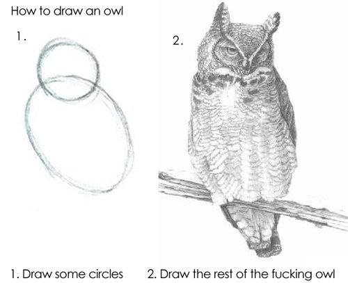 how to draw an owl. . Hou/ ity draw an ovd 2. Draw the rest or the fucking owl l, Some circles. uhh i think i messed up step 4