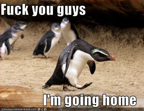 how posting on funnyjunk makes me feel. this is what you guys do to me..everytime. VIII! guys. Aw, Forever Alone. I'll be your friend Mr. Penguin. ;)