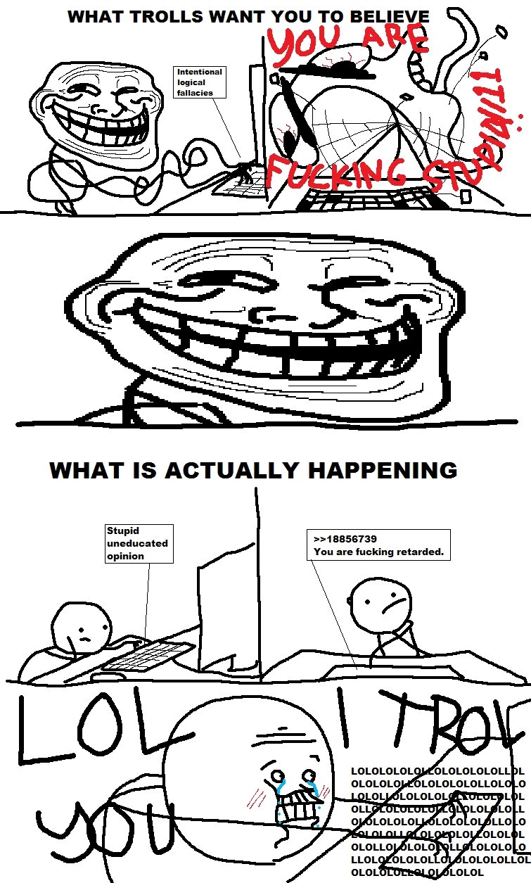 How trolls really work. This is kinda old picture. I haven't seen this one around for years and since it provided me with some lulz, I'd be glad to share it wit