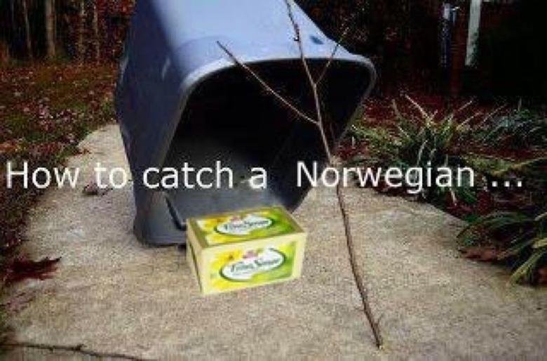 How to catch a Norwegian. That's butter if u can't see it. If u haven't noticed, my country has a butter problem atm!.. Haha! Im norwegian, and the whole butter thing is embarrassing... Har heldigvis smør der jeg bor! :)