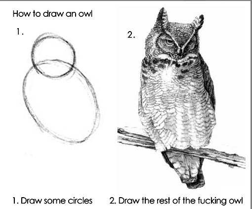 How to draw an owl. No desc. How in draw an owl 1. Draw some circles 2. Draw the rest of the fucking owl. This retoast is beyond soggy.
