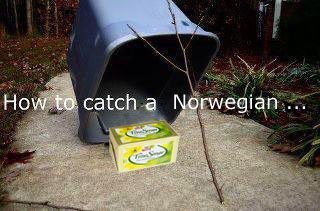 How to catch a Norwegian. Found on FB postet by a friend of mine.. there likes 100$ there
