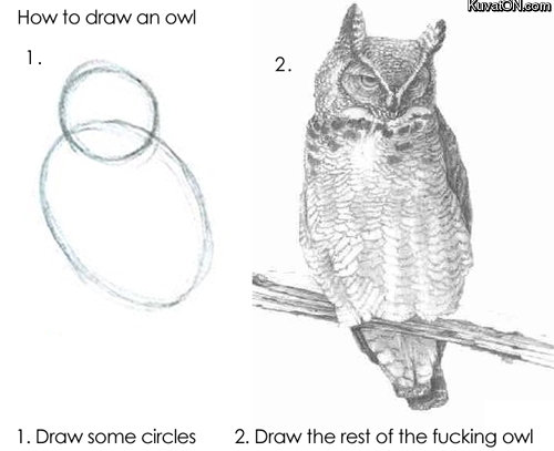How to draw an owl. toast. How to draw an ovd 1. Draw some circles 2. Draw the rest of the fucking owl. retoast