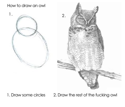 How to draw an owl. it's simple.. How in draw an owl 1 . Draw some circles 2. Draw the rest of the fucking owl. toast has been burnt so many times, it has crumbled