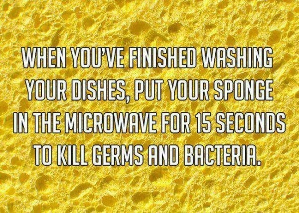 https://funnyjunk.com/Life+tips/funny-pictures/5902534/. .. I mean my dishwasher kills plenty of germs, so...