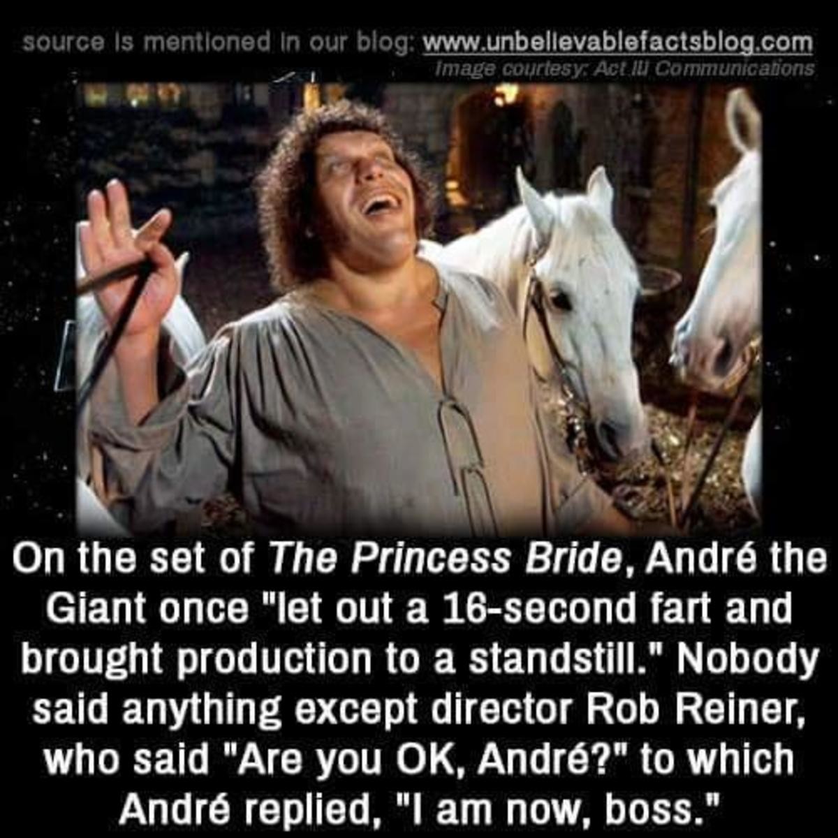 Лоракс once-ler. Андре гигант интересные факты. Once let. Once let. Чак норрис факты смешные.