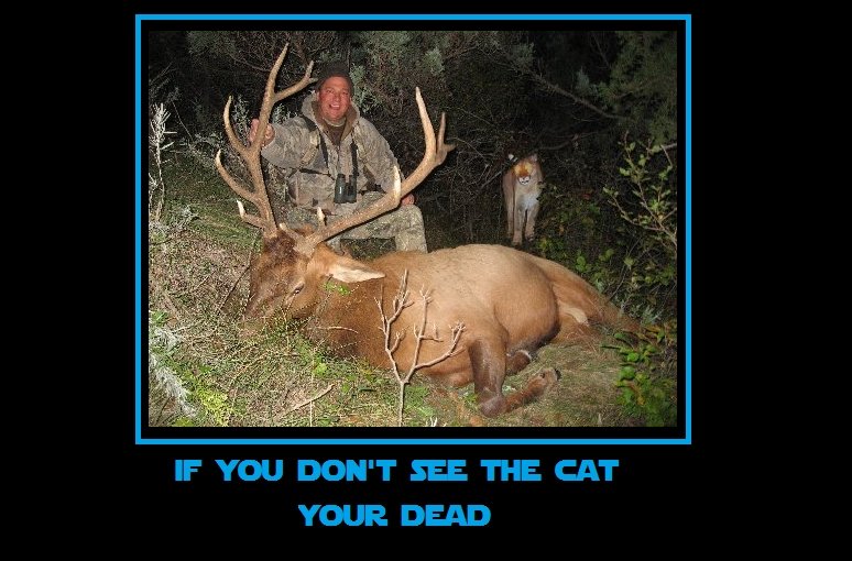 Hunting. A proud hunter. IF YOU DON' T SEE THE CAT YOUR, DEAD. I tried to warn you but noooooo fat man knows everythiiiiing