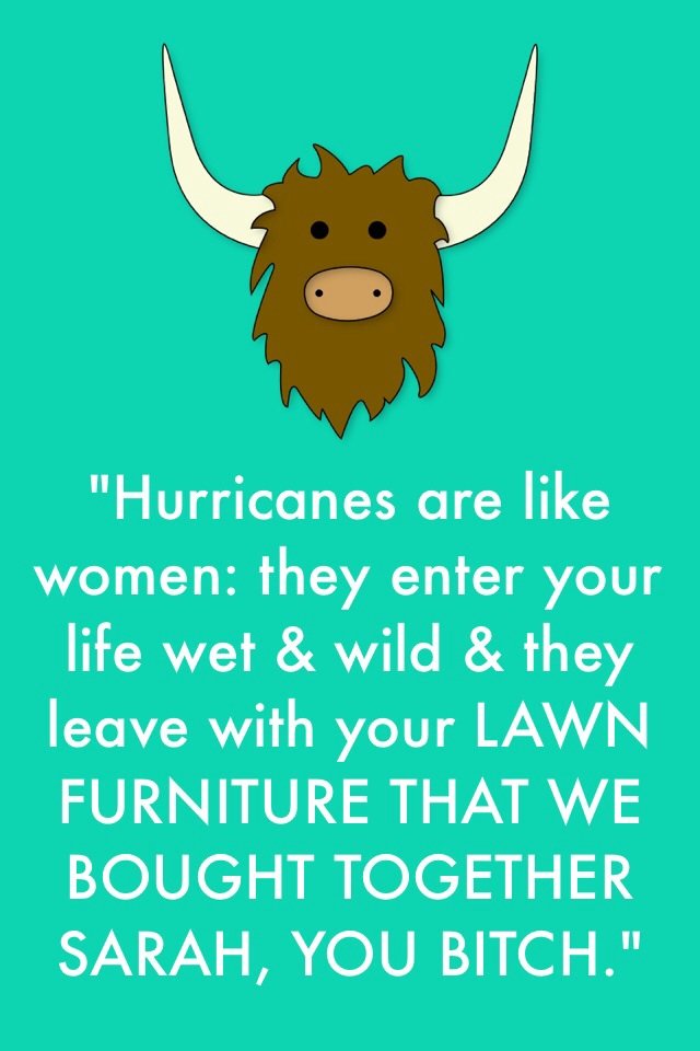 Hurricanes. . Hurricanes are like women: they enter your life I/ stef & wild & they have with your / rtsl FURNITURE THAT / N/ E BOUGHT TOGETHER. Why is there an image of an Ox?