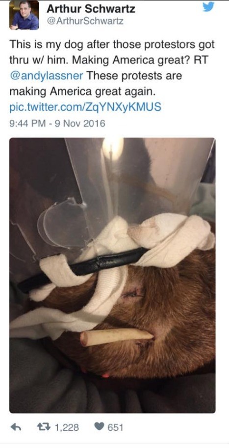 Hurting animals over butthurt politics?. This is what happens when protesters get to do what they want when they lose sight over their agenda. They hurt animals