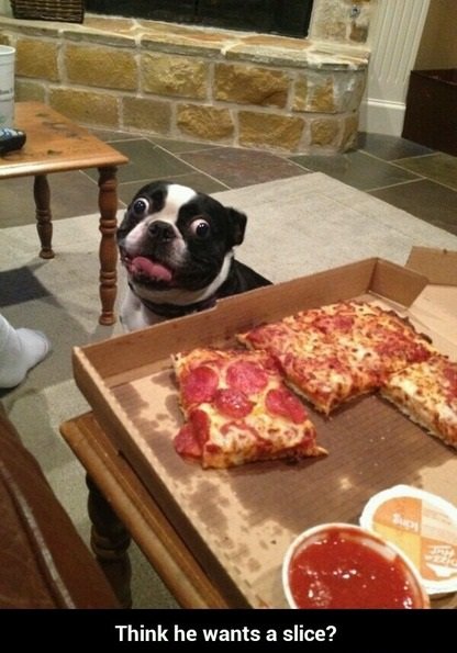 Hypnotism. . Think he wants a slice?. what the is that square pizza slices, who does that.