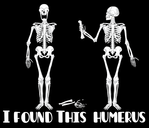 i have found this humerus