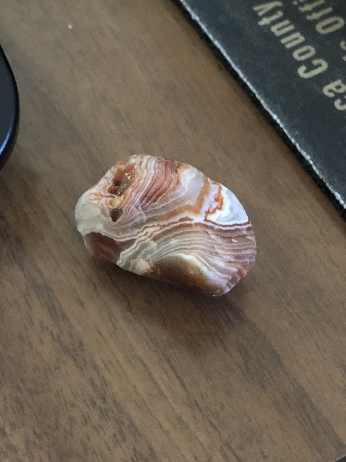 idiotic Pangolins. One of my best agates from my collection. I found it, not bought it. Hope you guys like it! join list: RockCollectionTMA (39 subs)Mention Cli