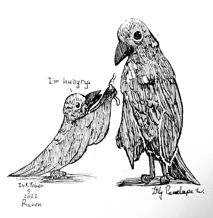 Inktober!. Here are some of my inktober works from this year so far. (Prompt: Raven) &quot;I'm hungry&quot; join list: WatercolorAndOrInk (43 subs)Mention Histo
