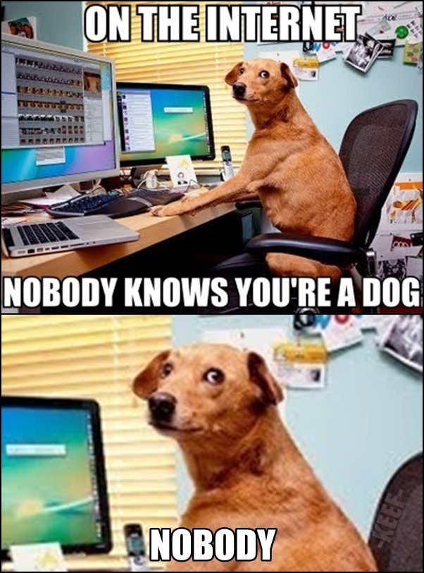 Internet Dog. Not a damn soul. . Fun. NUBBIN “WWY You' ll! ll talt. this mini dog paw cannot be unseen