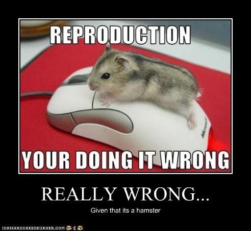 Interspecies? Breeding. Sorry... the geek in me couldn't resist... a dwarf hamster to be exact