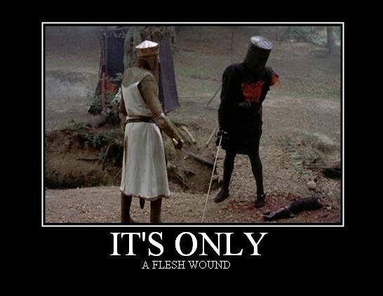 Its Only. a flesh wound. A FLESH W(. "I've 'ad worse-" YOU LIE!"