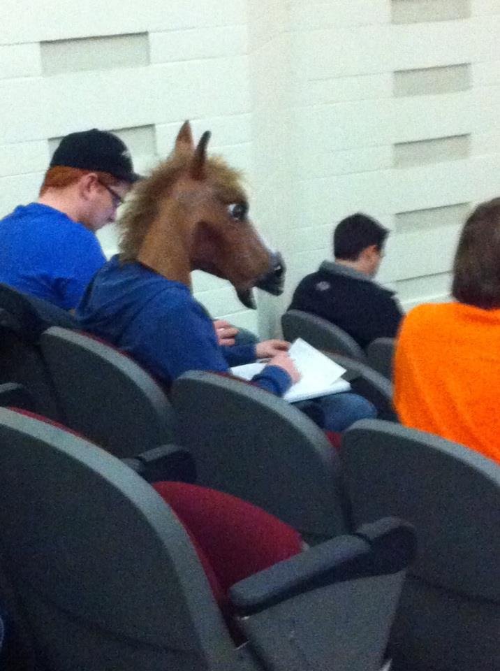 Just a normal day in class. .. What disturbs me even more is the sheer quantity of people that happen to own disembodied horse heads these days.