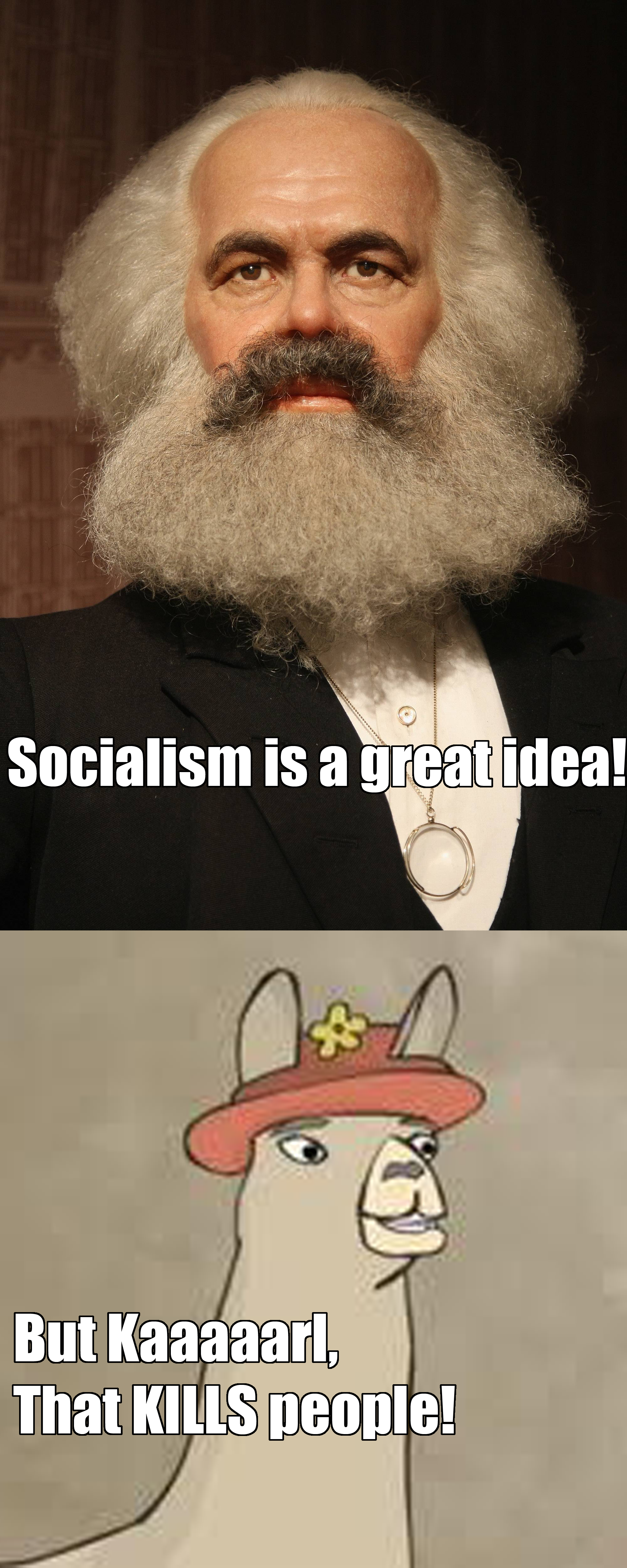 Karl Marx. This is a description.. Yeah, and capitalism is way better. Look how i can swim in my money and watch people in developing countries work for me like slaves.