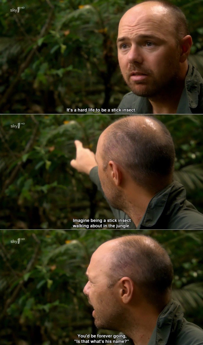 Karl Pilkington. . Sky, It' s a hard life to be a stick insect. Imagine being a stick insect walking about in the jungle. sayf Ho You' d be forever going, Is th