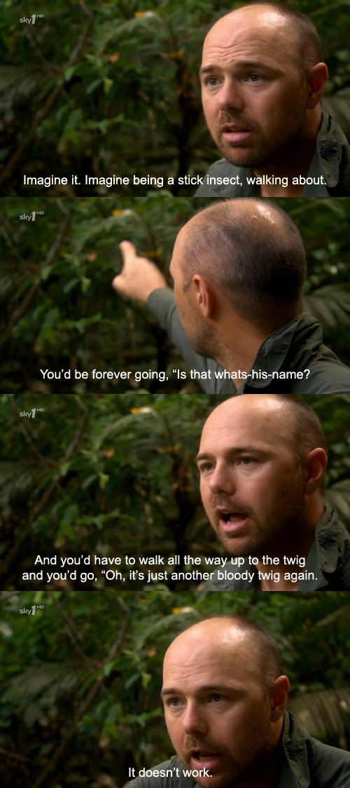 Karl Pilkington. . You' d be forever going, "Is that / l? And you' d have to walk ali the way up to the twig and you' d go, "Uh, it' s just another bloody twig 