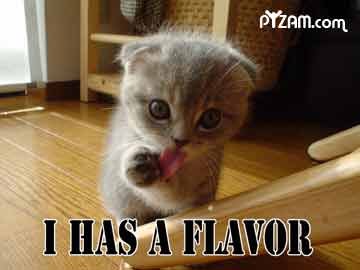 Kitty Has Flavour. .