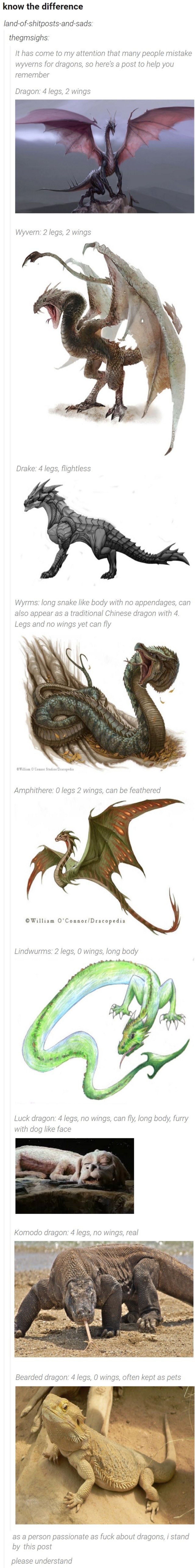 Know Your Dragons. .. What about 3 legs, 1 wing?