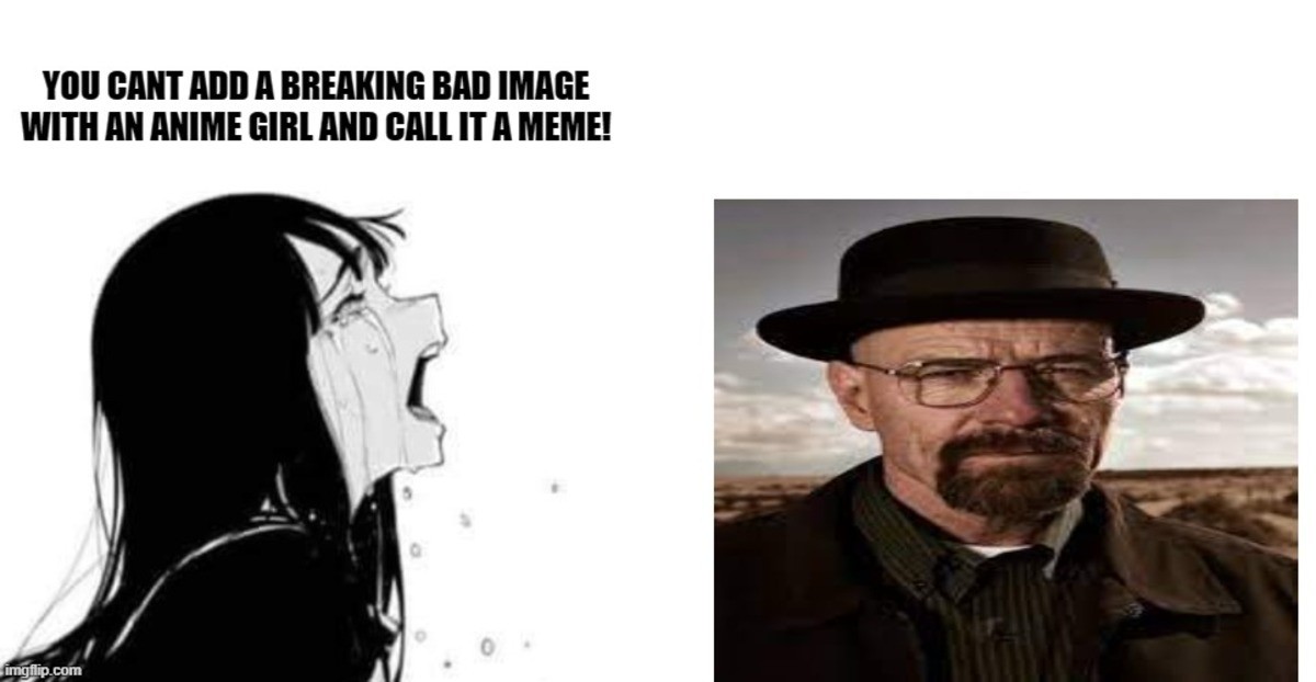 lately seen Breaking bad memes w/ anime girl reactions in Youtube. .. &quot;say my name!&quot;
