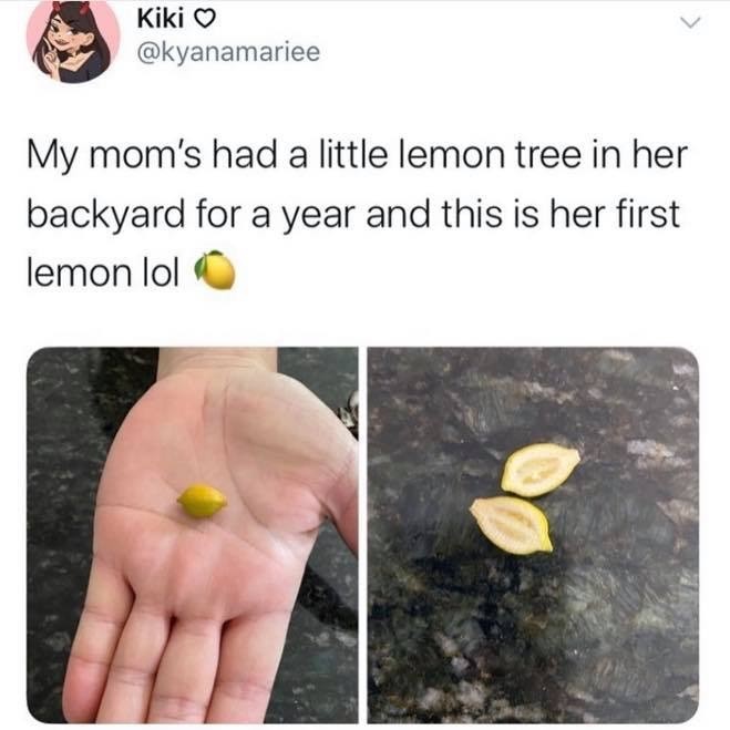 Lemon Stealing Whore