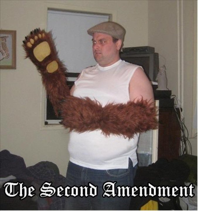 Literal Constitution. .....thumbs? fine then &amp;gt;. 5132 sidis; , tit,. Lol, &quot;The Right To Bear Arms&quot;