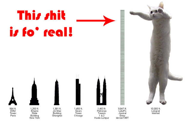 longcat plush