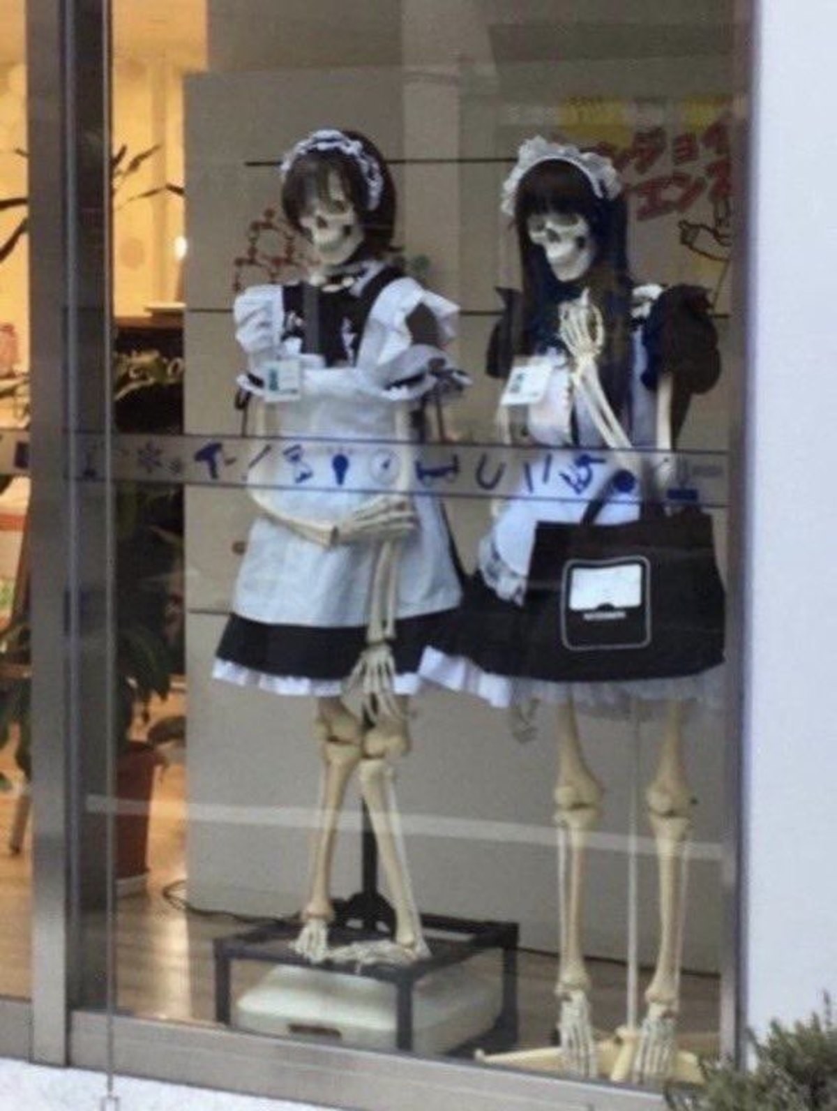 maids. .. Finally a maid Cafe for real bone 