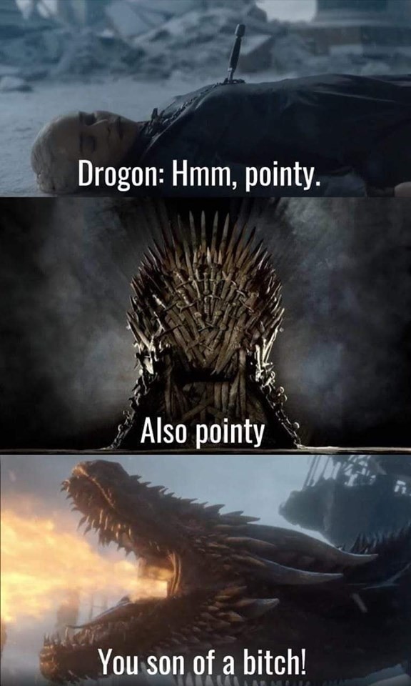 makes sense. .. Jokes aside, someone else came up with what I thought was the best explanation for this scene. Drogon is like a very smart dog. He loves his mom and whoever his