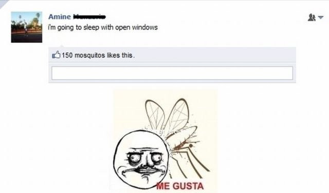 Malariagusta. . E GUSTA. edit
