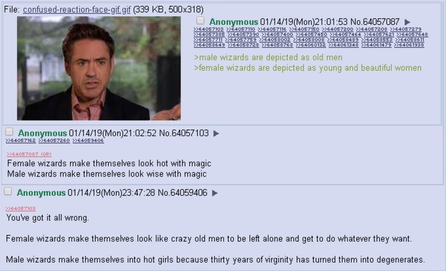 Male vs Female Wizards. .. I would 100% switch sex like a metronome if given the opportunity