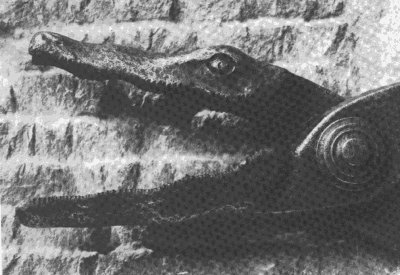 Male Medieval Torture Device. The crocodile shears was an instrument of torture used in late medieval Europe and typically reserved for regicides – those who at