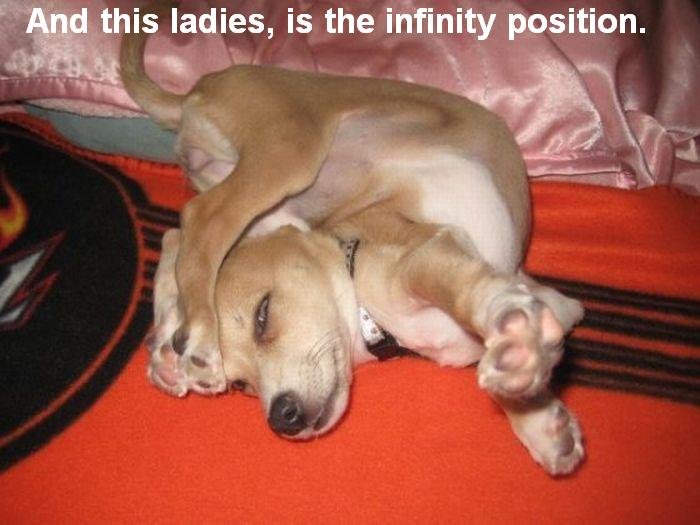 master of yoga. he knows every position!. ladies, is the ' position.