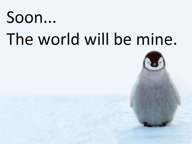 Master penguin. But hopefully before the 21!. The world will be mine.