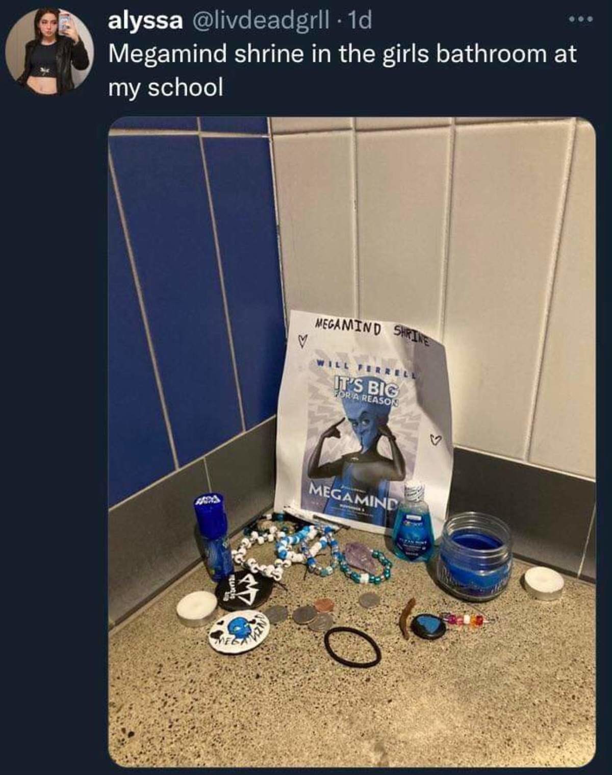megamind. .. you cant just tell everyone about the girls bathroom megamind shrine. Its for the girls. Now the boys are gonna want to make a boys megamind shrine. you Alyssa