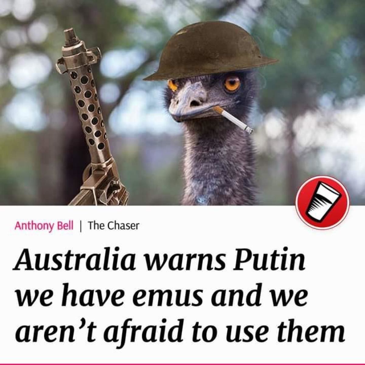 Memetic Duetic. join list: KlictiChasers (224 subs)Mention History.. deploy emus into russia watch as the whole land mass is lost to emus