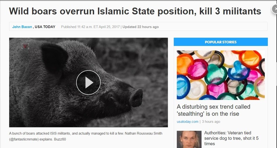 Mess with bacon, bacon messes with you. . Wild boars overrun Islamic State position, kill 3 militants (l John Bacon , USA TODAY Published 11: 42 a. . 2017 Updat