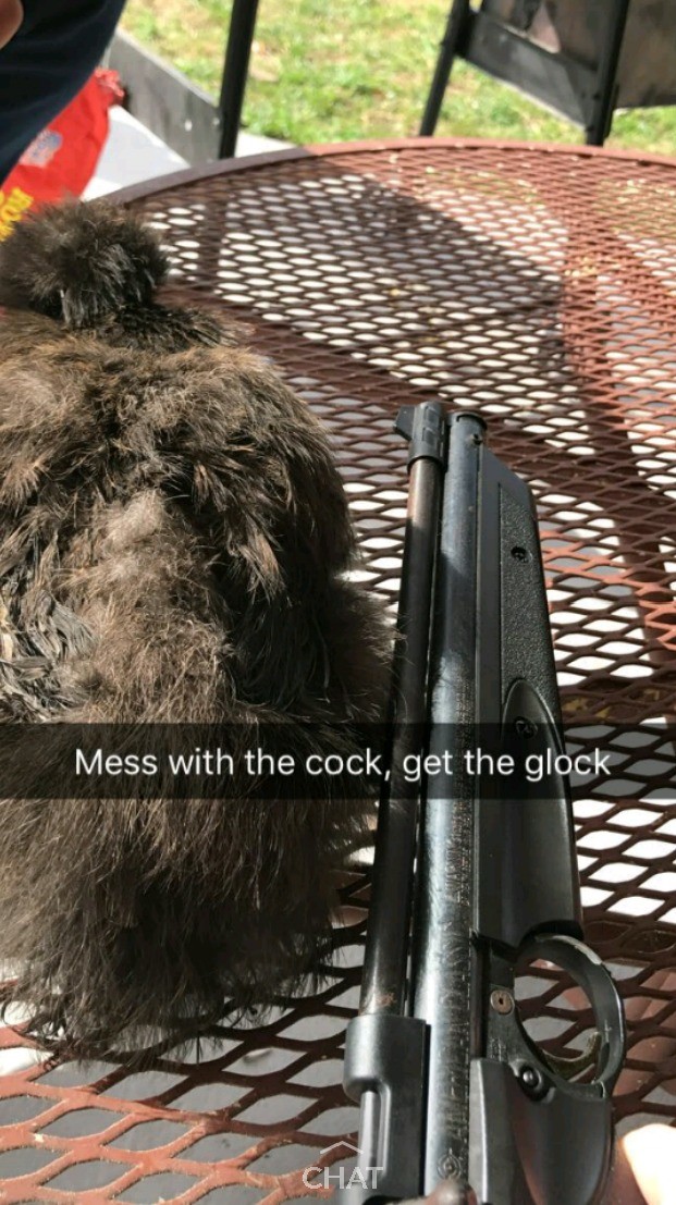 Mess with the cock.... Ok guys i reslize this isn't an actual glock, get over it bruhs.. But that's not a Glock you