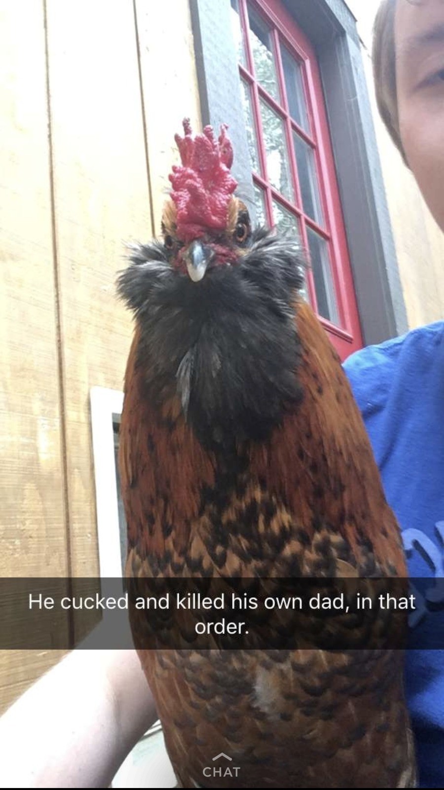 Mess with the Cockadoodle. Get the glockadoodle. He cocked and killed his own dad, in that order.