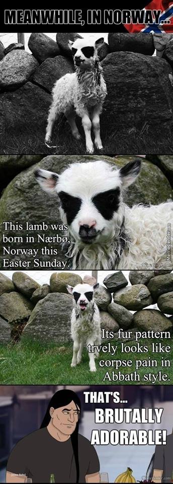 metal pet. . This lamb "§} r pattern r' iii' relaid like corpse pain in Abbath style.