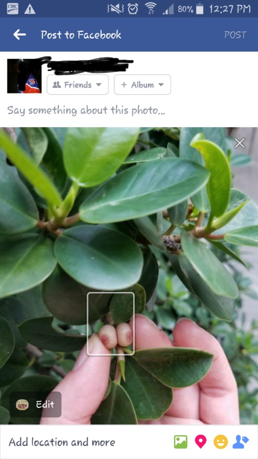 My eyes r up here.. Facebook sees a person and not just ur boobs.. 6 Post to Facebook Sag alladin abour this photo... Add location and more. Watch mods have a meltdown because of berries.