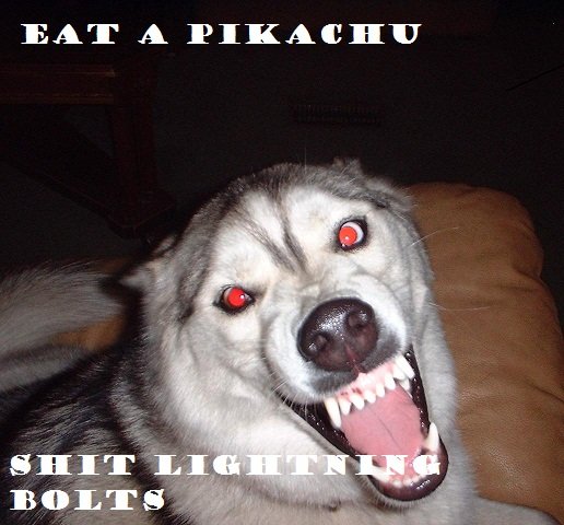 My dog ate a pikachu. Well my dog was layin on the ground all pissed and i took a camera and took a pic and i added the caption. EAT A PIKACHUU. ya