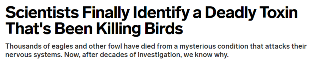 Mystery Behind Dying Birds Solved. Archived link: Read the article for details. join list: vortexrainuploads (114 subs)Mention Clicks: 1647Msgs Sent: 9757Mentio