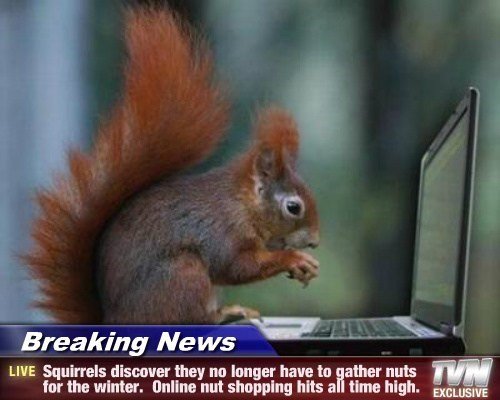 Online shopping is pretty nuts. HOHOHOHOHO PUNS. LIVE Squirrels disinter they no Inner have to ether nuts tar the winter. I] nut shunning hits a time high. :